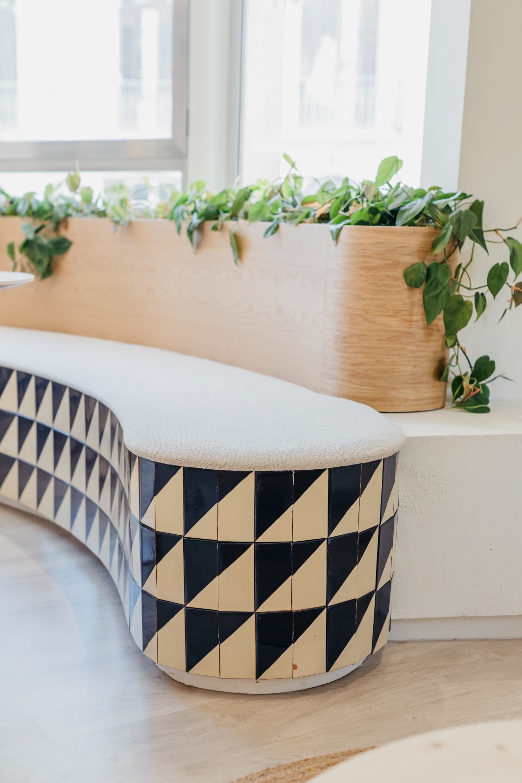 Banco curvo con azulejos geométricos y jardinera con plantas junto a la ventana en la academia