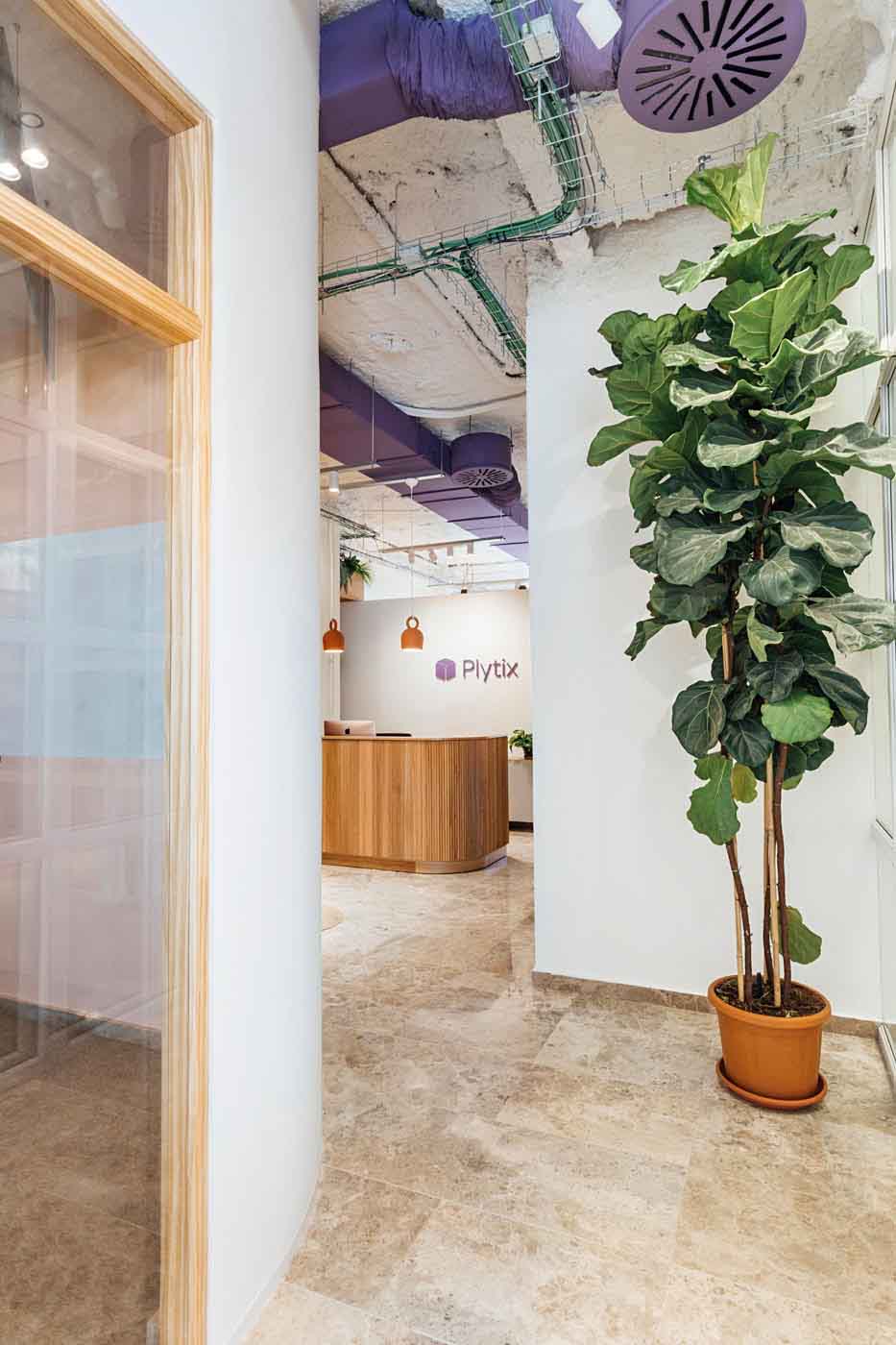 Pasillo acristalado con ficus y conductos morados en las oficinas de Plytix